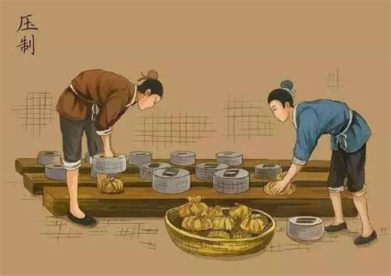 制茶八步驟，制茶工藝流程圖