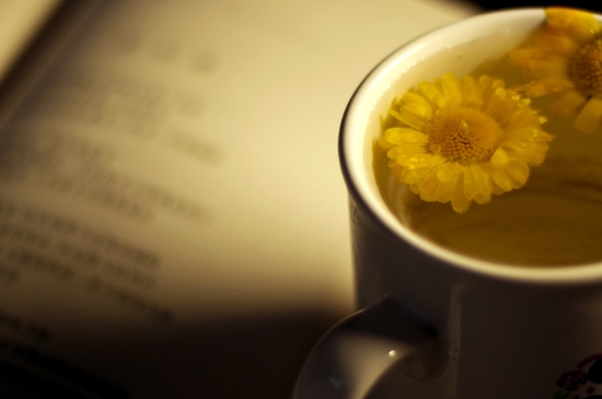 經(jīng)常菊花泡水好嗎，喝菊花茶有什么好處？