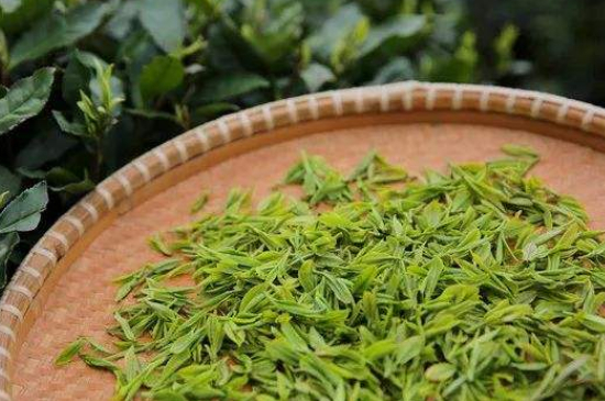 炒青綠茶與綠茶的區(qū)別，烘青和炒青哪個好喝？