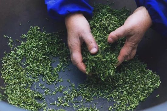自家炒茶葉怎么炒，自己炒茶葉的步驟
