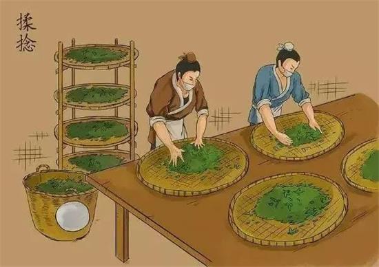 制茶八步驟，制茶工藝流程圖