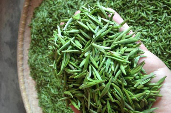 采茶的方法與步驟，如何正確采摘茶葉？
