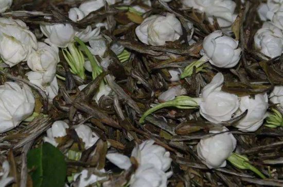 茉莉龍珠怎么做的，茉莉龍珠的制作工藝
