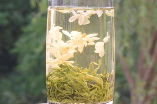 茉莉龍珠可以和什么一起泡茶，茉莉龍珠茶能加蜂蜜嗎？