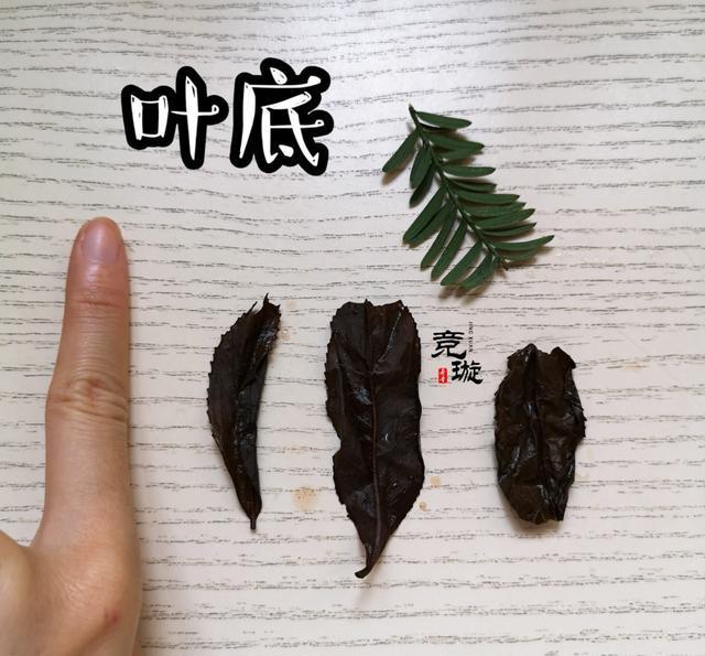 正山小種很細(xì)還很黑亮，正山小種越細(xì)越好嗎