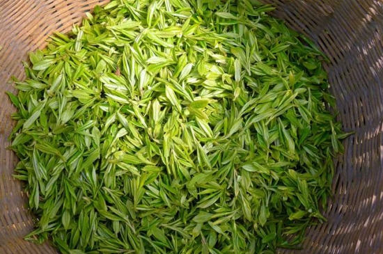 烏牛早和龍井的區(qū)別圖片，龍井43號和烏牛早茶的對比