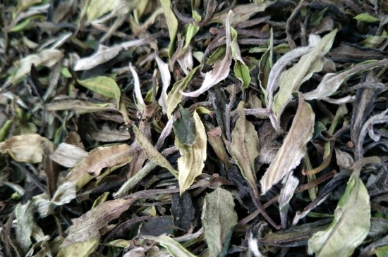 福鼎白茶貢眉和壽眉的區(qū)別，壽眉與貢眉有什么區(qū)別