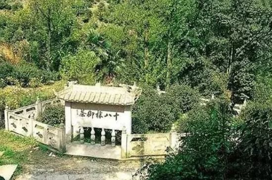 母樹大紅袍給誰喝了，為什么母樹大紅袍叫三棵六株？