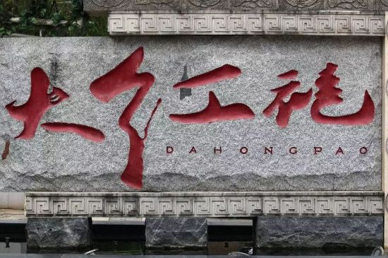 母樹大紅袍給誰喝了，為什么母樹大紅袍叫三棵六株？