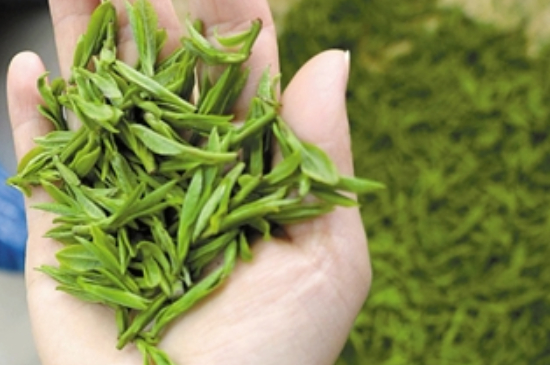 潮汕炒茶屬于什么茶，潮汕炒茶是綠茶嗎？