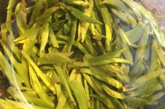 龍井是明前的好還是雨前的好，明前茶和雨前茶哪個(gè)好喝？