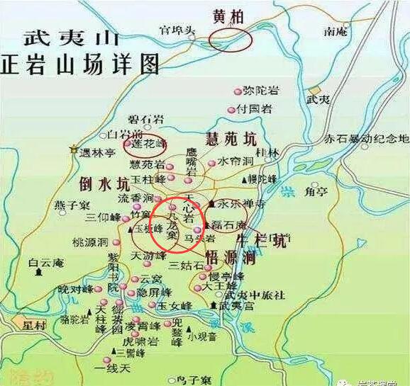 母樹大紅袍給誰喝了，為什么母樹大紅袍叫三棵六株？