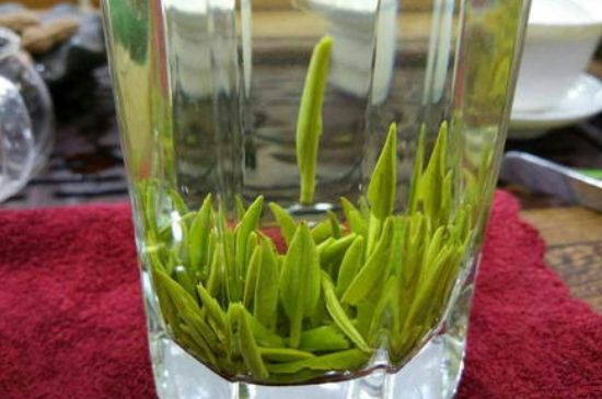 雀舌有一股青草味，雀舌為什么有青草味？