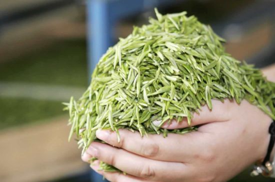 高山云霧茶屬于什么茶，高山云霧茶哪里的最好