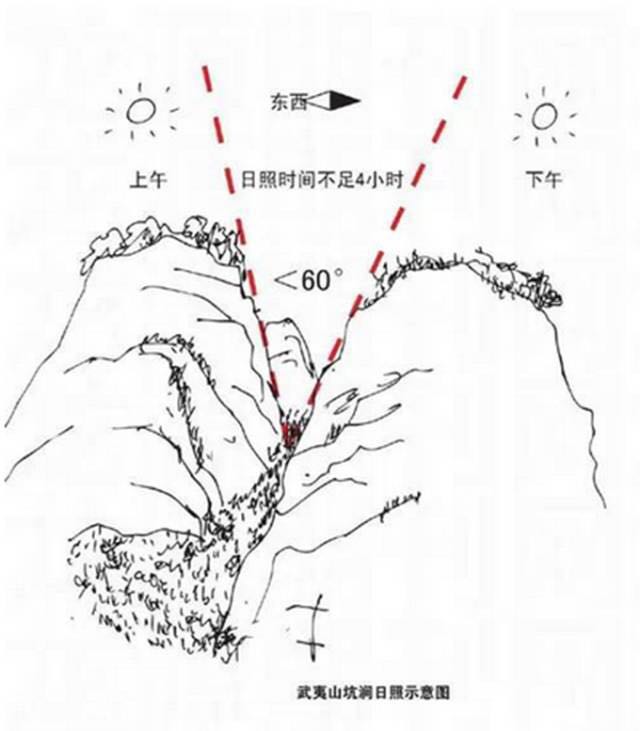 武夷山為什么盛產(chǎn)茶葉，武夷山茶為什么好喝？
