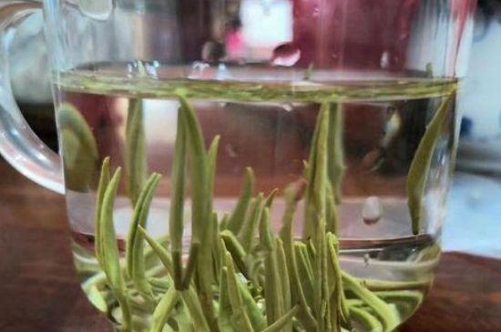 踏雪蘭妃是什么茶，踏雪蘭妃是哪里的茶葉?
