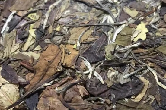 老白茶上火還是去火？夏季喝煮的老白茶會容易上火！