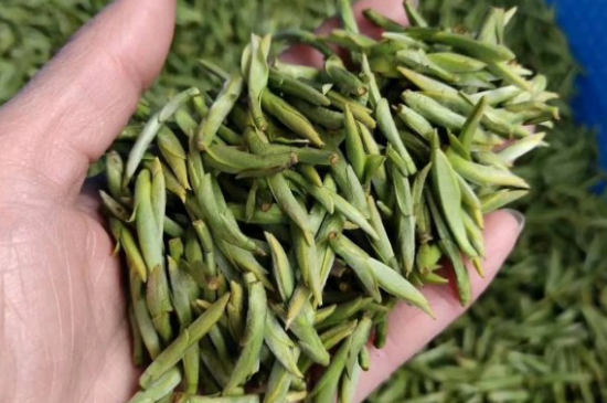 龍井茶好壞的鑒別圖片，如何區(qū)別龍井茶的好壞？