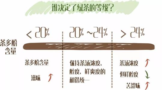 什么綠茶口味重口感濃郁，口味比較重的綠茶都有那些？