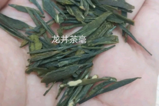 西湖龍井茶毫和發(fā)霉區(qū)別圖片，長(zhǎng)霉的龍井茶葉會(huì)是什么樣？