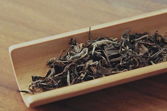 怎么撬老白茶茶餅不容易碎，福鼎白茶如何撬茶方法