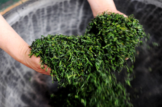 潮汕炒茶屬于什么茶，潮汕炒茶是綠茶嗎？