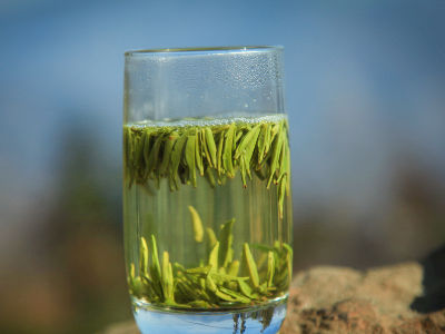 竹葉青茶怎么樣，檔次較高味道略苦價(jià)格比較貴