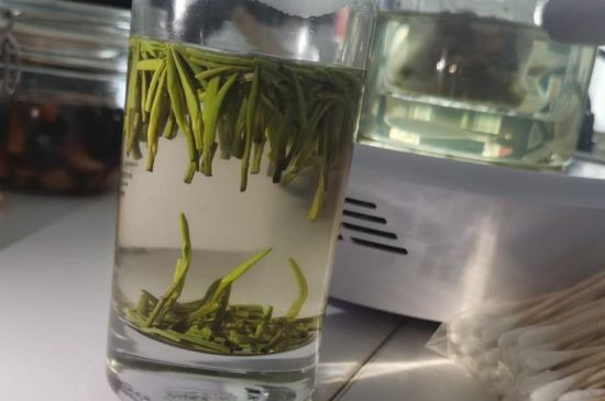 金壇雀舌算不算好茶，金壇雀舌屬于什么檔次茶葉？