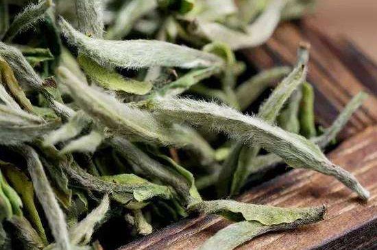 荒野銀針有什么特點，荒野銀針的味道口感咋樣？
