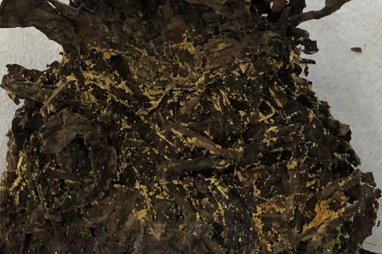 怎么知道涇渭茯茶是否變質，茯磚茶金花和發(fā)霉的區(qū)別