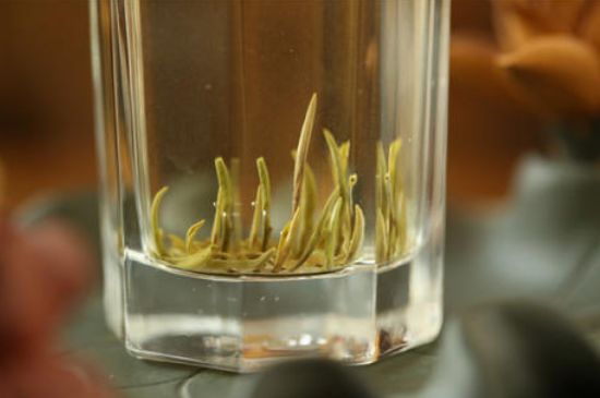 踏雪蘭妃是什么茶，踏雪蘭妃是哪里的茶葉?