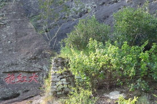 母樹大紅袍給誰喝了，為什么母樹大紅袍叫三棵六株？