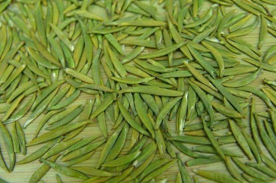 竹葉青和毛尖的區(qū)別，毛尖和竹葉青怎么分辨？