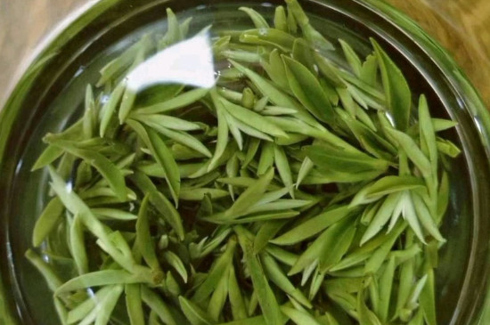 什么綠茶茶葉唇齒留香，哪個(gè)品種綠茶香氣好？
