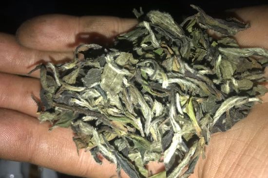 7年壽眉和2年白牡丹哪個(gè)好，老白茶壽眉與白牡丹的口感區(qū)別
