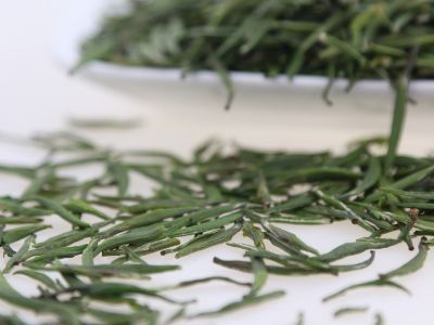霍山黃芽算是好茶嗎，霍山黃芽屬于什么茶？