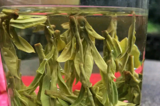 什么綠茶最香最好喝，綠茶口感與香氣排名