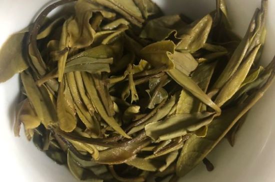 三年白茶賽砒霜，這是真的嗎？