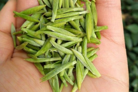 什么綠茶味道濃香，那個綠茶比較濃香？