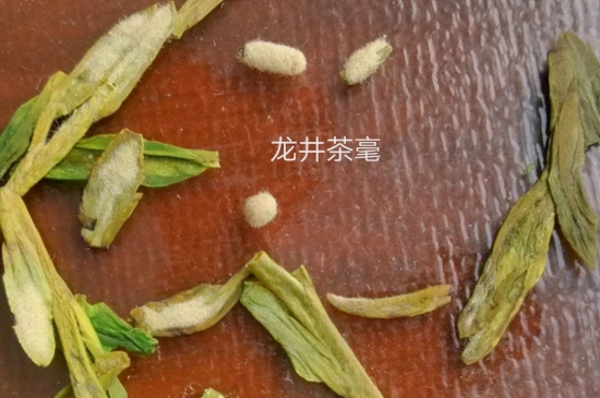 西湖龍井茶毫和發(fā)霉區(qū)別圖片，長(zhǎng)霉的龍井茶葉會(huì)是什么樣？