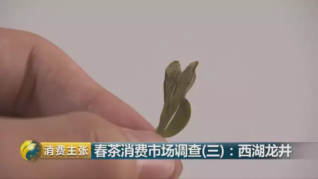 龍井群體種和43號(hào)的區(qū)別圖片，龍井43和群體種哪個(gè)好喝？