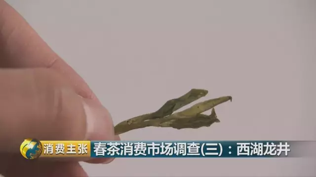 龍井群體種和43號(hào)的區(qū)別圖片，龍井43和群體種哪個(gè)好喝？