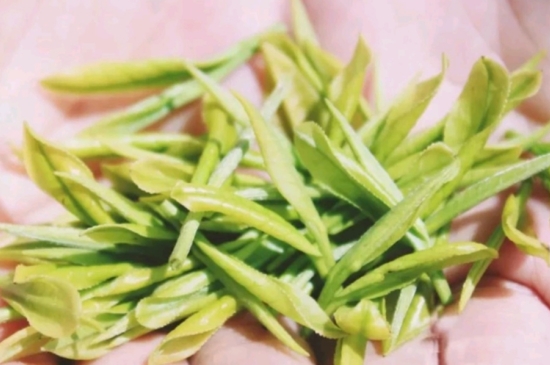 龍井是明前的好還是雨前的好，明前茶和雨前茶哪個(gè)好喝？