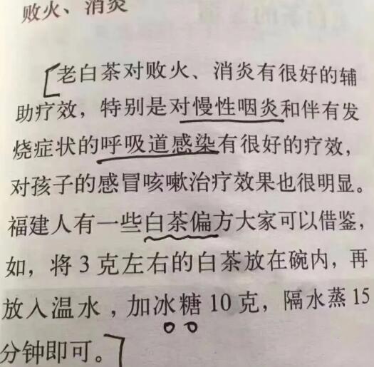老白茶上火還是去火？夏季喝煮的老白茶會容易上火！