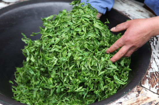 潮汕炒茶屬于什么茶，潮汕炒茶是綠茶嗎？