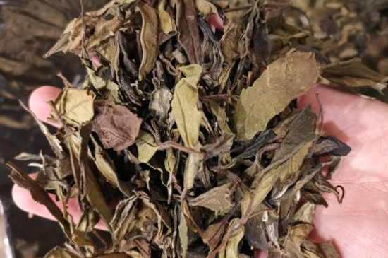 新舊白茶怎么區(qū)分，怎么分辨白茶是新還是舊