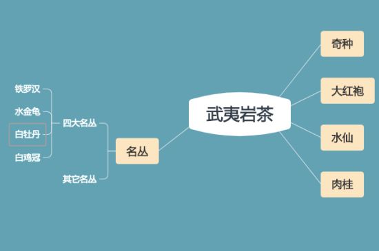 武夷巖茶品種大全，巖茶有幾種？