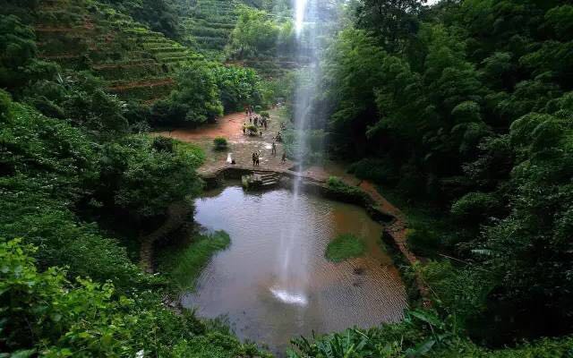 武夷山為什么盛產(chǎn)茶葉，武夷山茶為什么好喝？