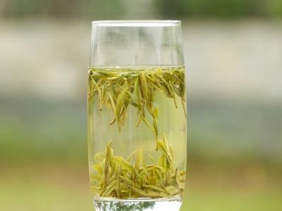 霍山黃芽算是好茶嗎，霍山黃芽屬于什么茶？