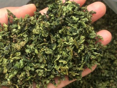 鐵觀音毛茶茶?？梢耘菟葐?，鐵觀音帶梗是不是好茶？